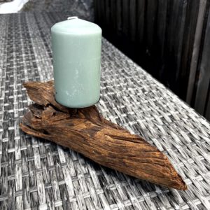 Skogsdraken – unik ljusstake av mangroverot
